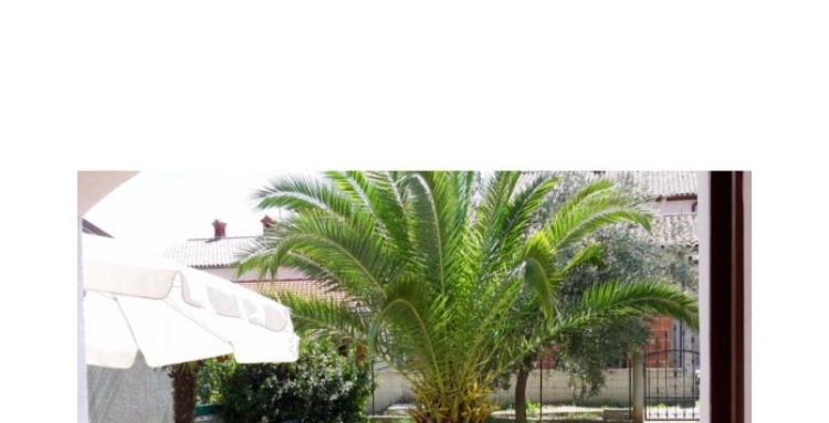 Leone Apartments With Free Parking Pula Exterior photo